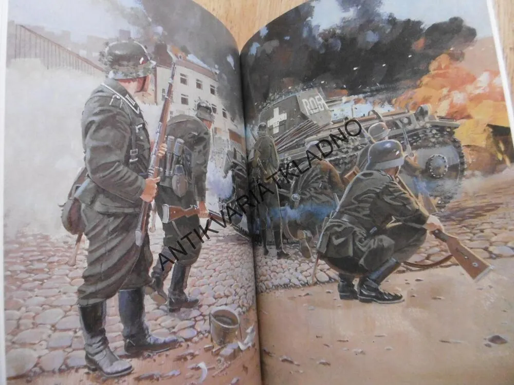 POLSKO 1939, ZROZENÍ BLESKOVÉ VÁLKY, VÁLEČNÁ TAŽENÍ, **an