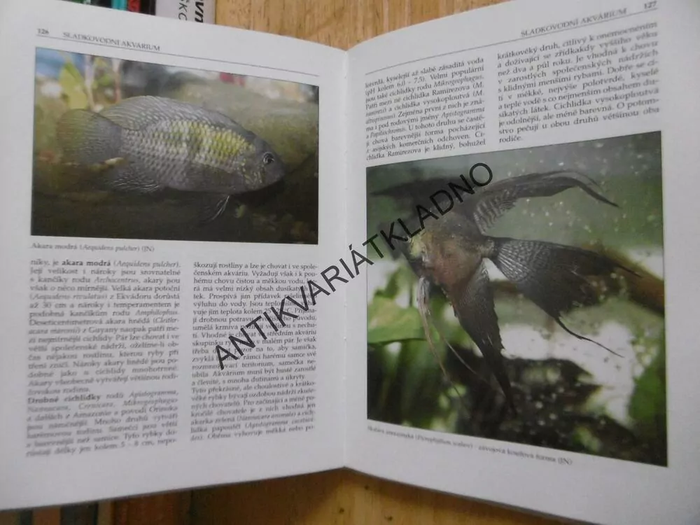 AKVARIUM SLADKOVODNÍ A MOŘSKÉ, J.HOFFMAN, **an
