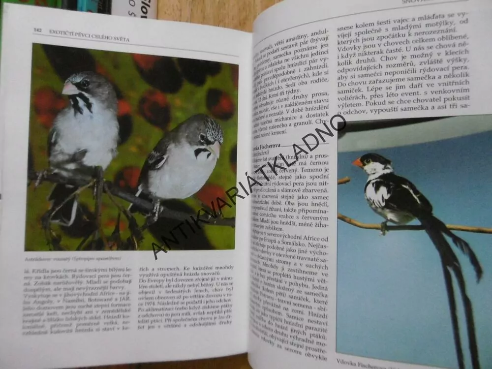 EXOTIČTÍ PĚVCI CELÉHO SVĚTA, M.SMRČEK, **an