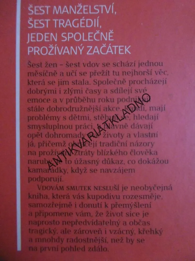 VDOVÁM SMUTEK NESLUŠÍ, BECKY AIKMANOVÁ, **an