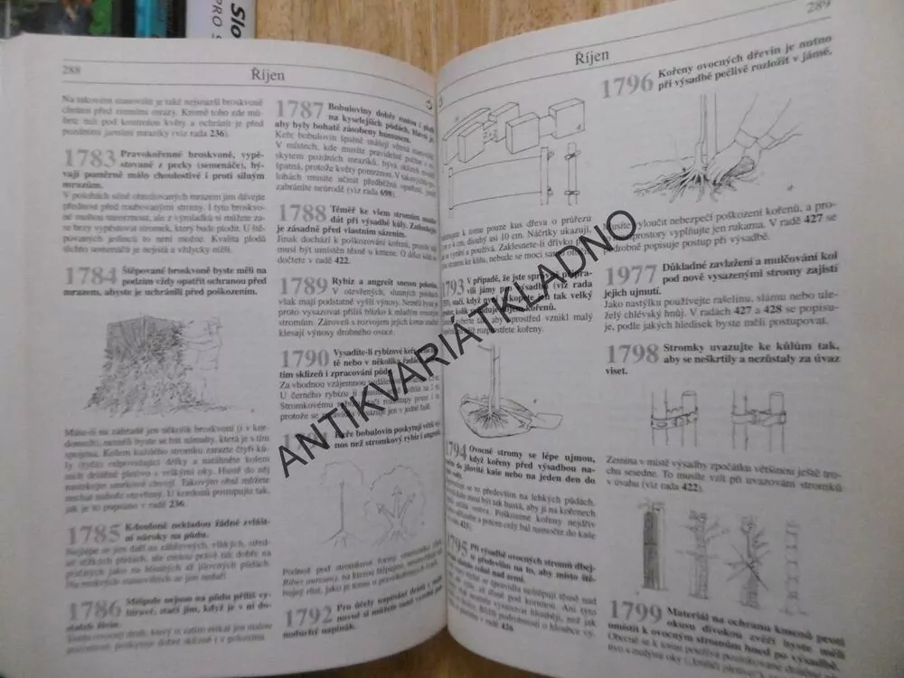2000 RAD PRO ZAHRÁDKÁŘE, BÖHMIG, PELEŠKA, **an