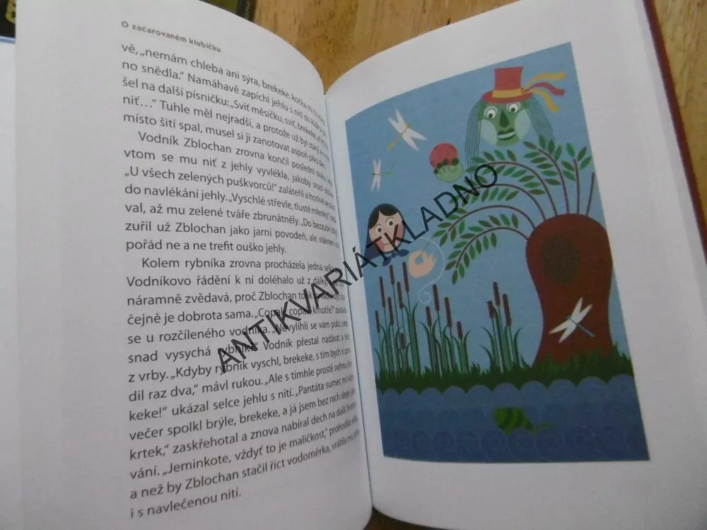 BRATŘI OBŘI A JINÉ POHÁDKOVÉ POVĚSTI, NAĎA MOYZESOVÁ, **an