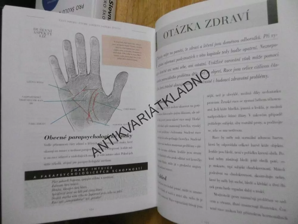 HÁDÁNÍ Z RUKY, SASHA FENTON, **an