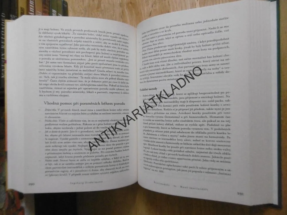 ZDRAVÉ TĚHOTENSTVÍ PŘIROZENÝ POROD, INGEBORG STADELMANN, **an