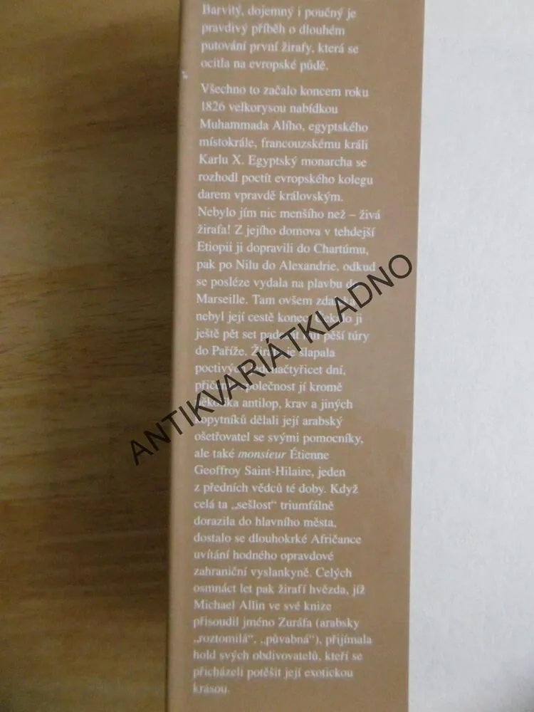 ZURÁFA, MICHAEL ALLIN, **an