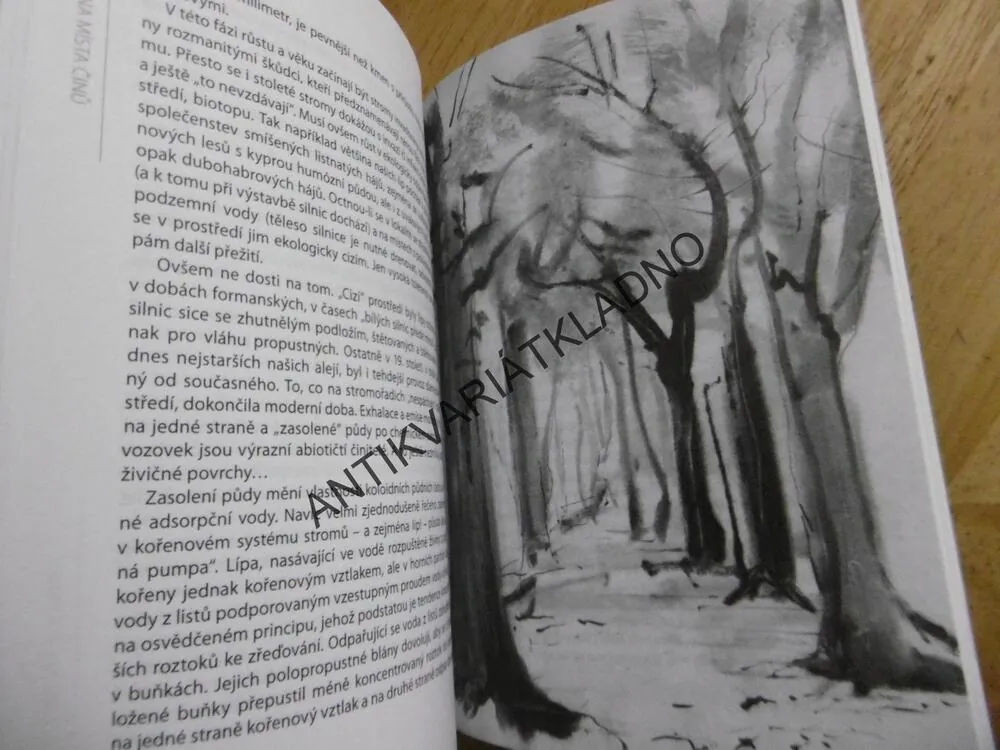 NÁVRATY NA MÍSTA ČINU, VÁCLAV VĚTVIČKA, **an