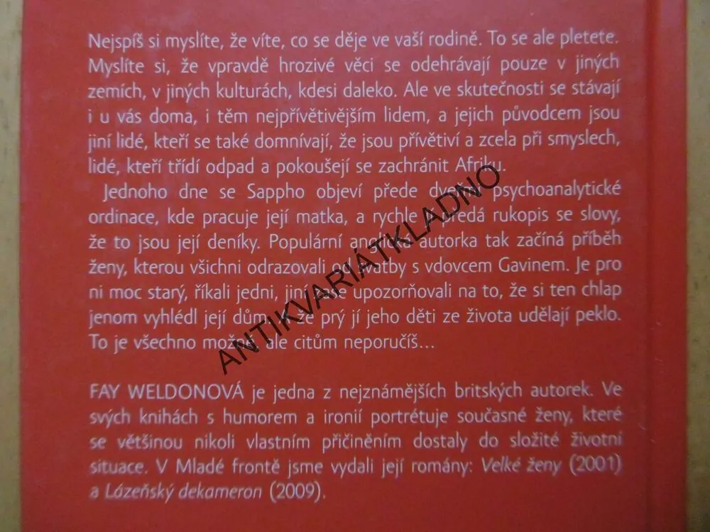 DENÍK MACECHY, FAY WELDONOVÁ, **an