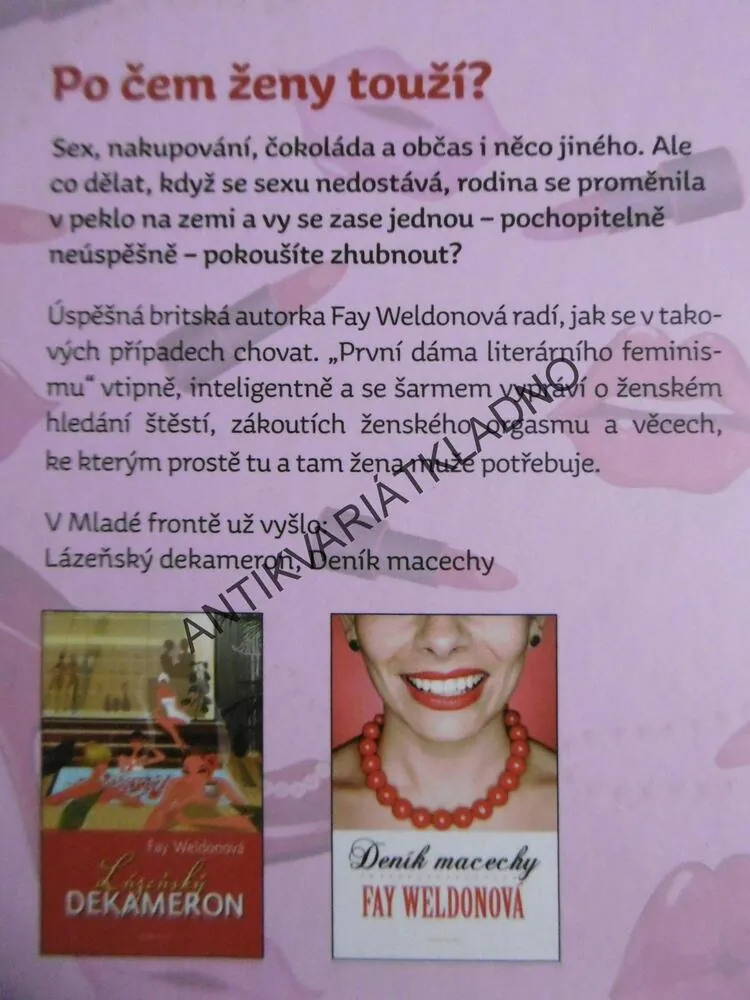 PO ČEM ŽENY TOUŽÍ, FAY WELDONOVÁ, **an