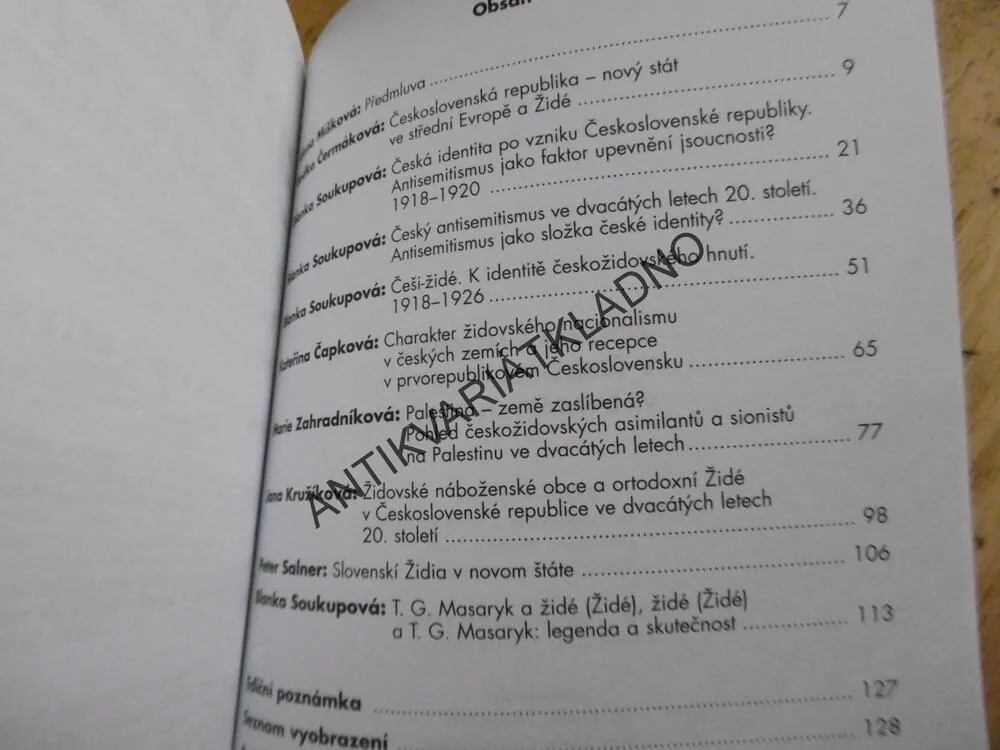 ŽIDOVSKÁ MENŠINA V ČESKOSLOVENSKU VE DVACÁTÝCH LETECH, **an