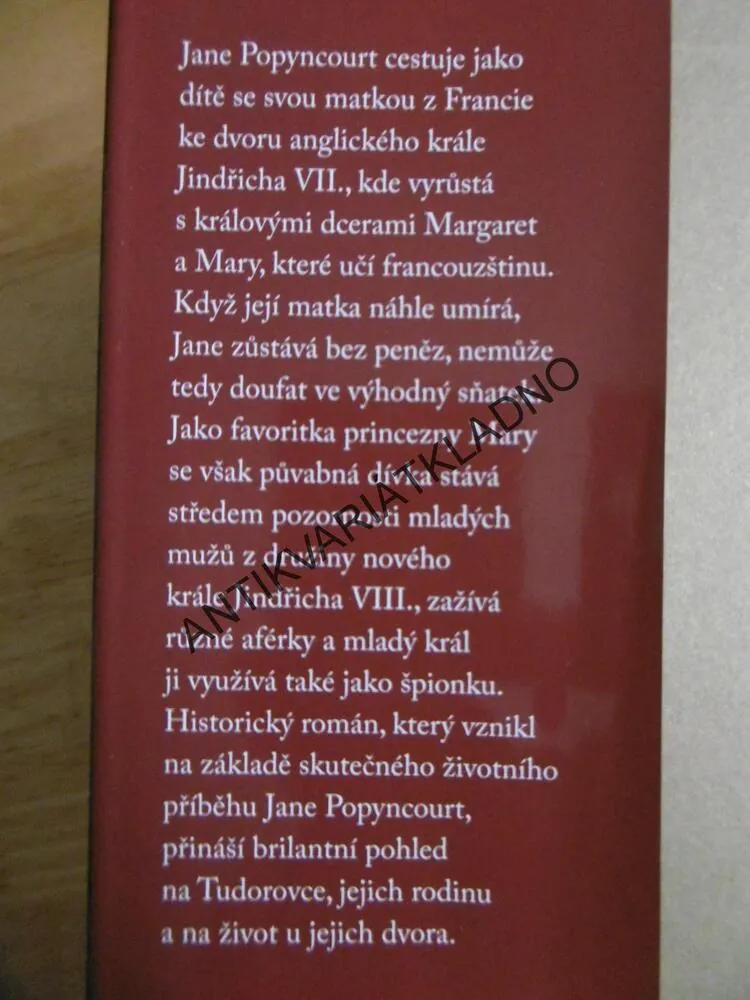 PALÁC ROZKOŠÍ, TAJEMSTVÍ DVORA TUDOROVCŮ, KATE EMERSON, **an
