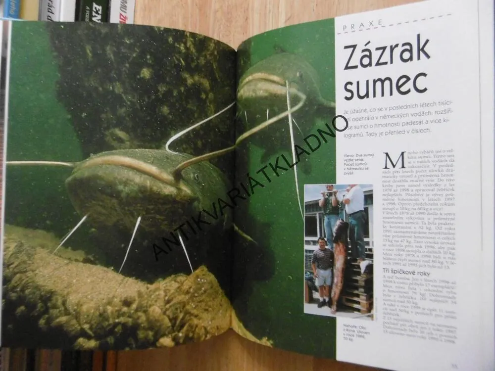 LOVÍME SUMCE, **an