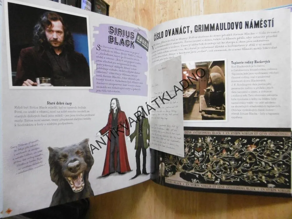 KOUZELNICKÝ SVĚT J. K. ROWLING, FILMOVÁ MAGIE, POZORUHODNÍ LIDÉ A KOUZELNÁ MÍSTA, **an
