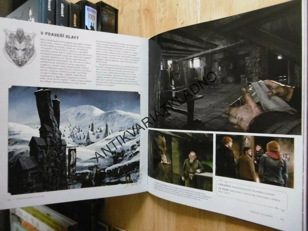 HARRY POTTER, MAGICKÁ MÍSTA Z FILMŮ, BRADAVICE, PŘÍČNÁ ULICE A JEŠTĚ DÁL, **an