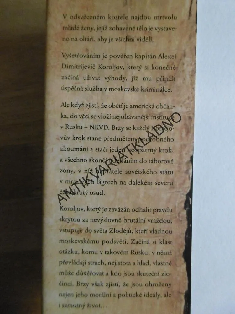 ZBOŽNÝ ZLODĚJ, WILLIAM RYAN, **an