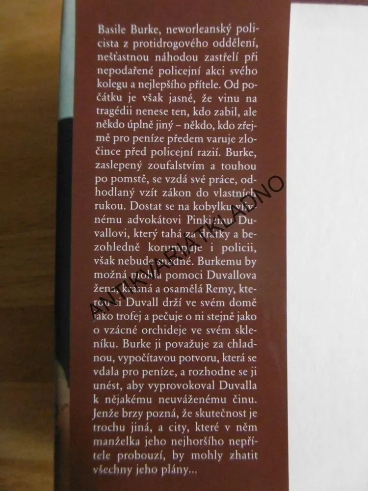 TUČNÉ ÚTERÝ, SANDRA BROWN, **an