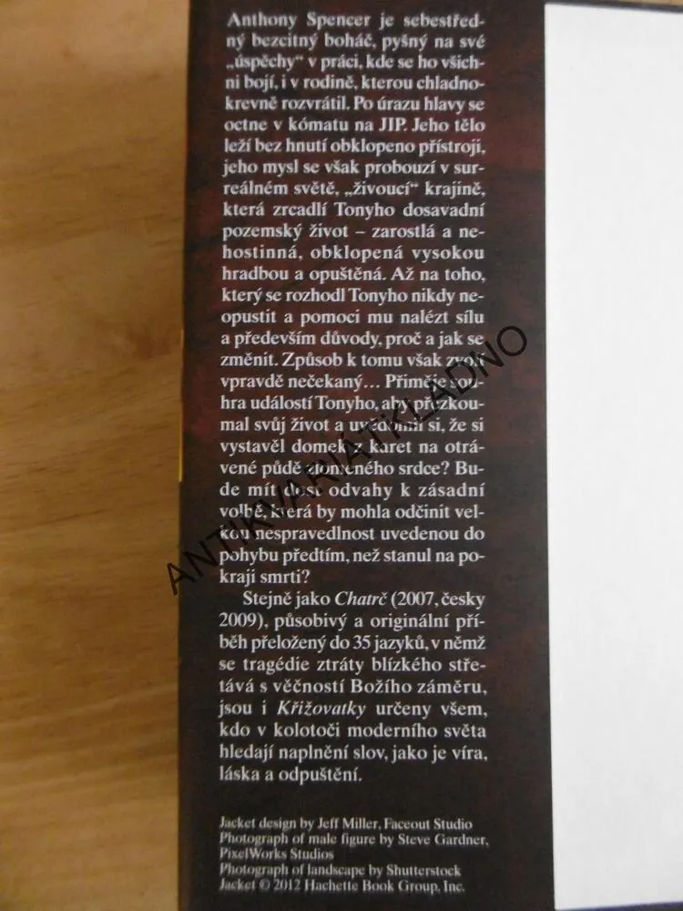 KŘIŽOVATKY, W.P.YOUNG, **an