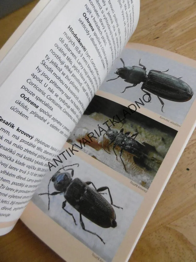 ŠKODLIVÍ A OBTÍŽNÍ ŽIVOČICHOVÉ KOLEM NÁS, JANA SEDLÁČKOVÁ, **an