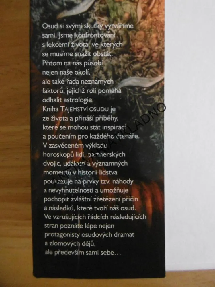TAJEMSTVÍ OSUDU, ZOŠA KINKOROVÁ, **an
