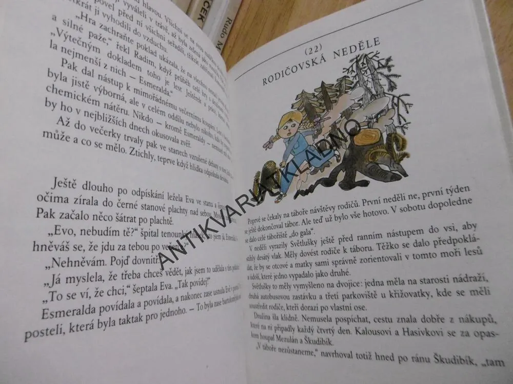 NASCHVÁLNÍČCI, FRANTIŠEK NEPIL, **an