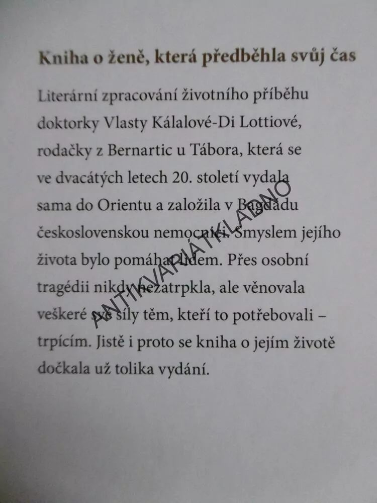 DOKTORKA Z DOMU TRUBAČŮ, ILONA BORSKÁ