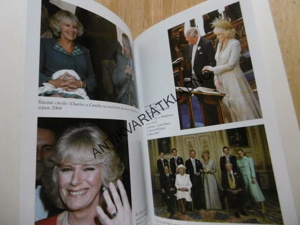 CHARLES A CAMILLA, PORTRÉT JEDNÉ LÁSKY, G.BRANDRETH, **an