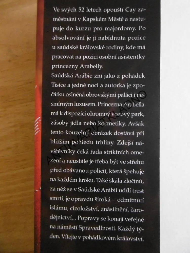 ZA ZDMI PALÁCE, CAY GARCIA, **an
