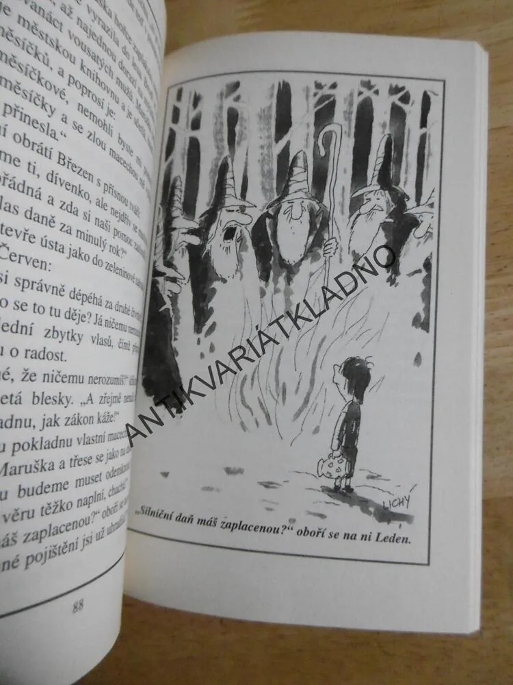 ÚŽASNÁ DOVOLENÁ ANEB CIZÍ NEŠTĚSTÍ POTĚŠÍ, KATARÍNA GILLEROVÁ, **an