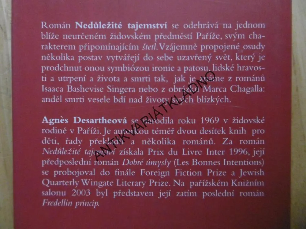 NEDŮLEŽITÉ TAJEMSTVÍ, AGNÉS DESARTHEOVÁ, **an