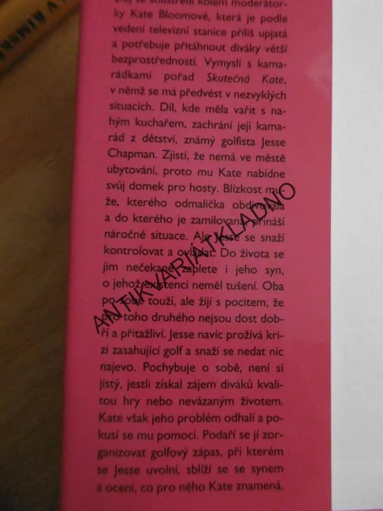NEČEKANĚ SEXY, LINDA FRANCIS LEE, **an