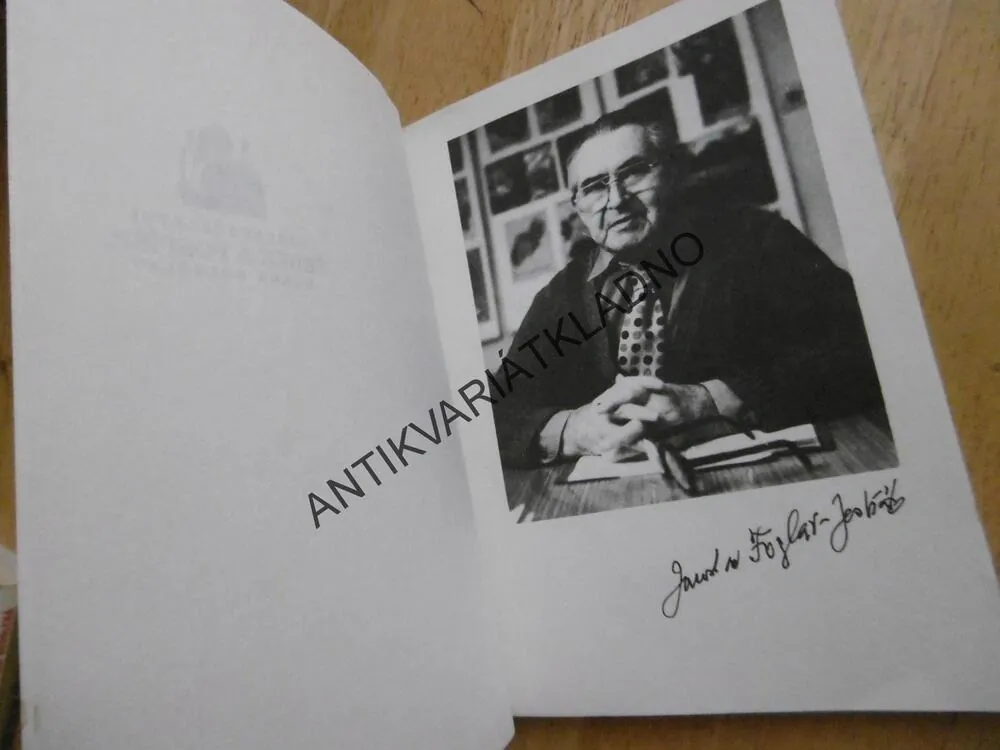 NOVÁČEK BUBÁČEK PÍŠE DENÍK, JAROSLAV FOGLAR, **an