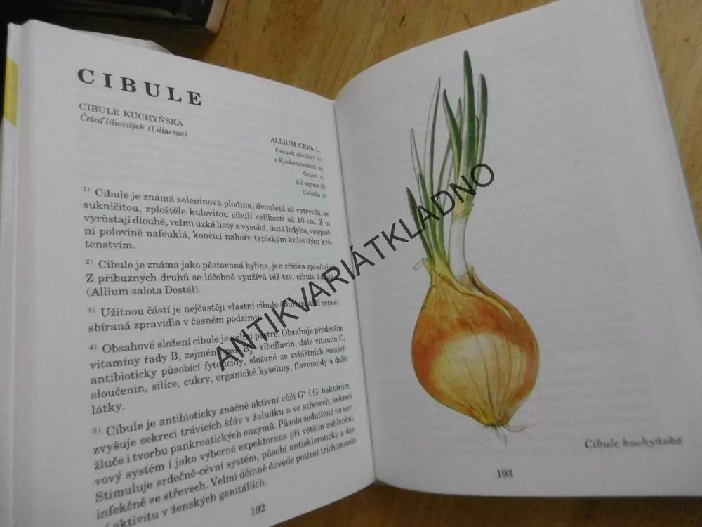 HERBÁŘ LÉČIVÝCH ROSTLIN 1., JIŘÍ JANČA, **an