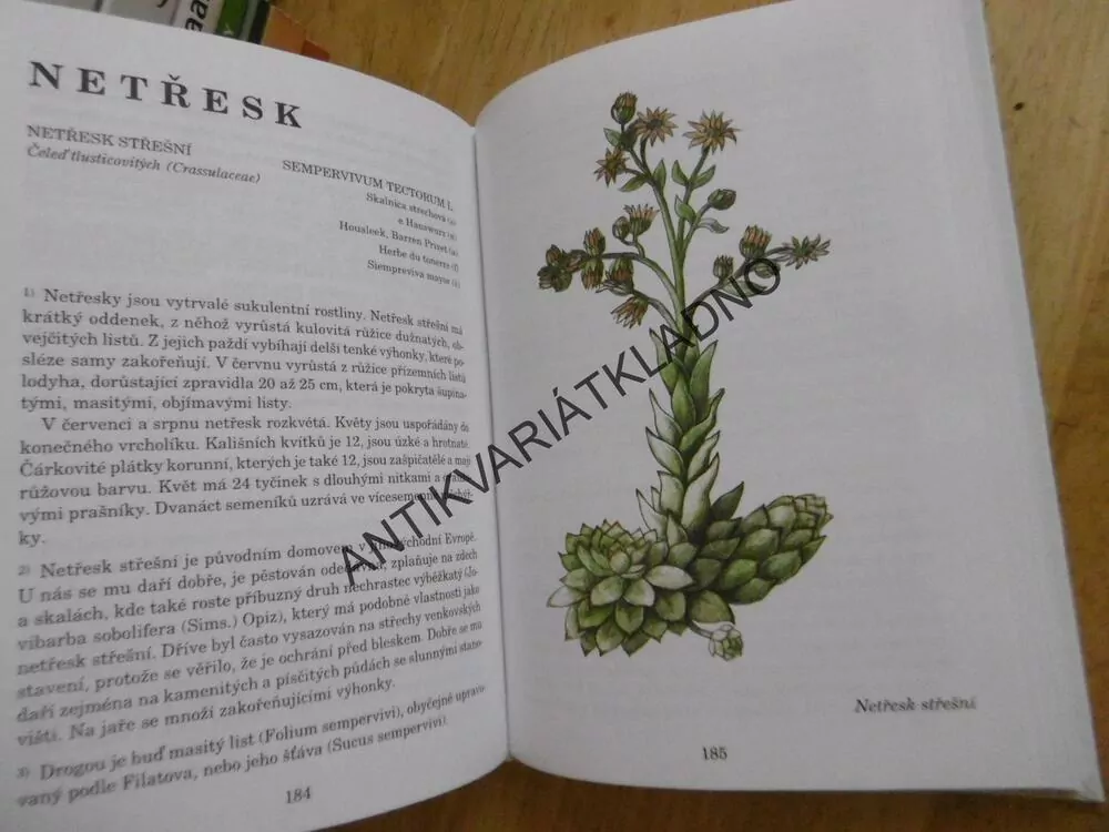 HERBÁŘ LÉČIVÝCH ROSTLIN 3., JIŘÍ JANČA, **an