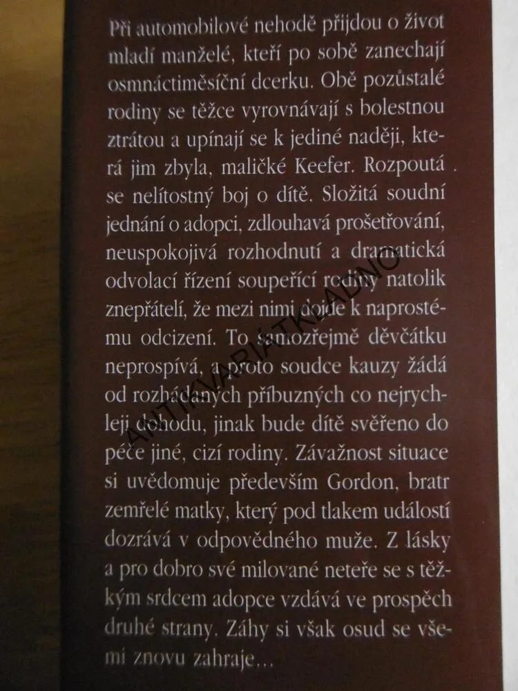 ÚZEMÍ ZTRÁT, JACQUELYN MITCHARDOVÁ, **an