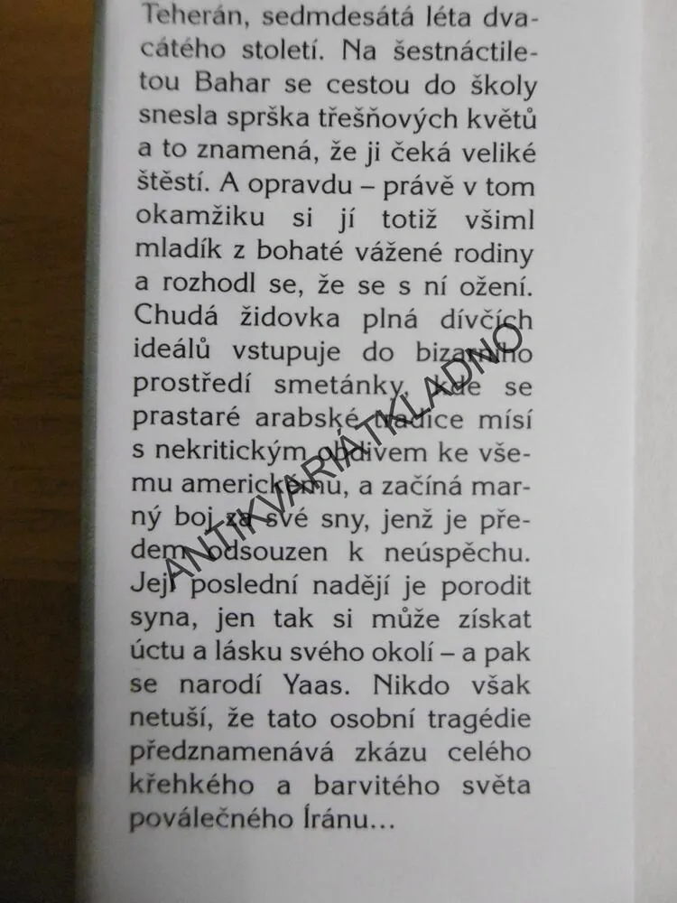 KASPICKÝ DÉŠŤ, GINA B. NAHAI, **an