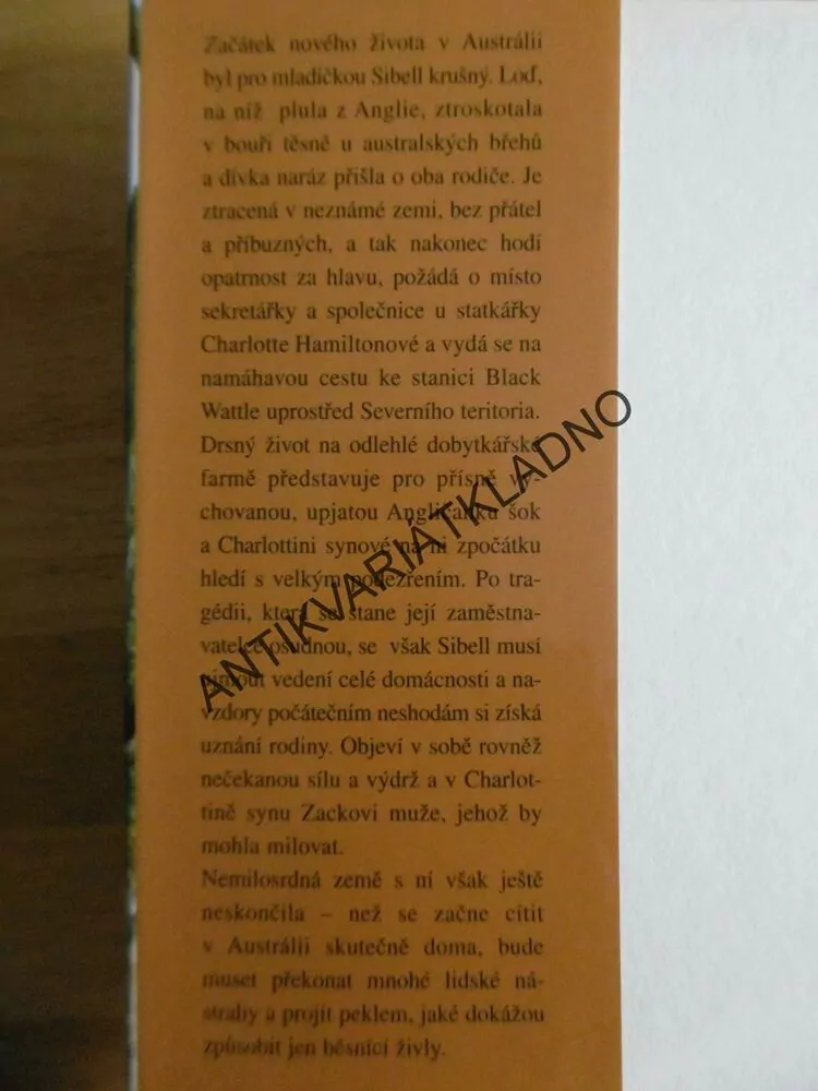KÁMEN A PÍRKO, PATRICIA SHAWOVÁ, **an