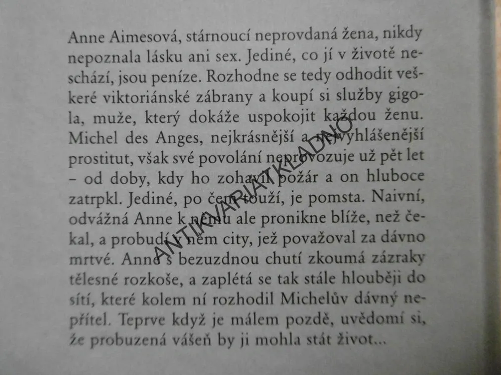 MILENEC, ROBIN SCHONEOVÁ, **an