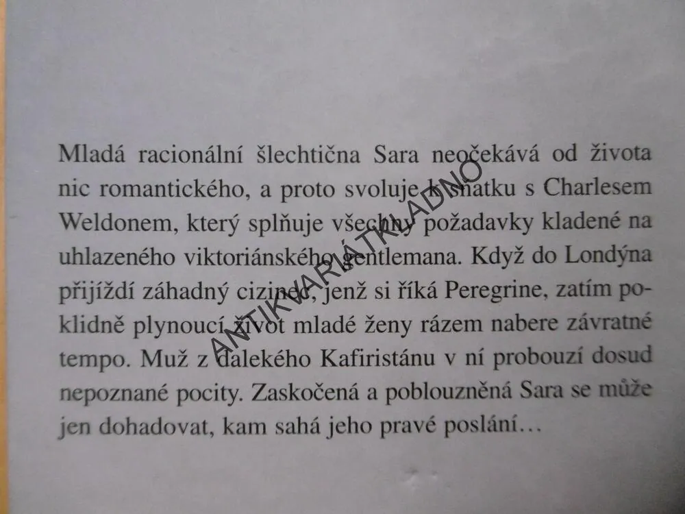 TAJEMNÝ CIZINEC, MARY JO PUTNEYOVÁ, **an