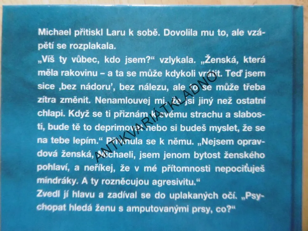 LAŘIN PŘÍBĚH, DIANA BEATE HELLMANNOVÁ, **an