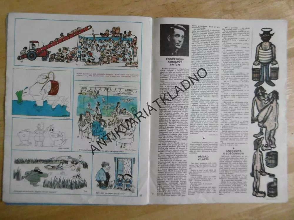 DIKOBRAZ 32/1980