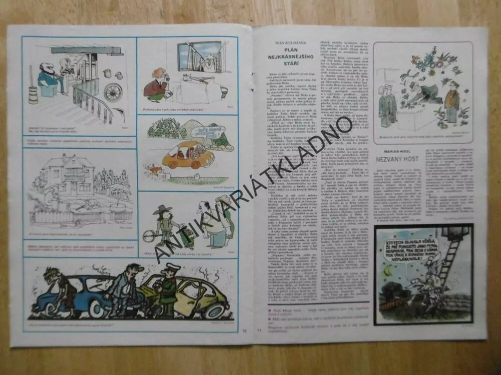 DIKOBRAZ 21/1980