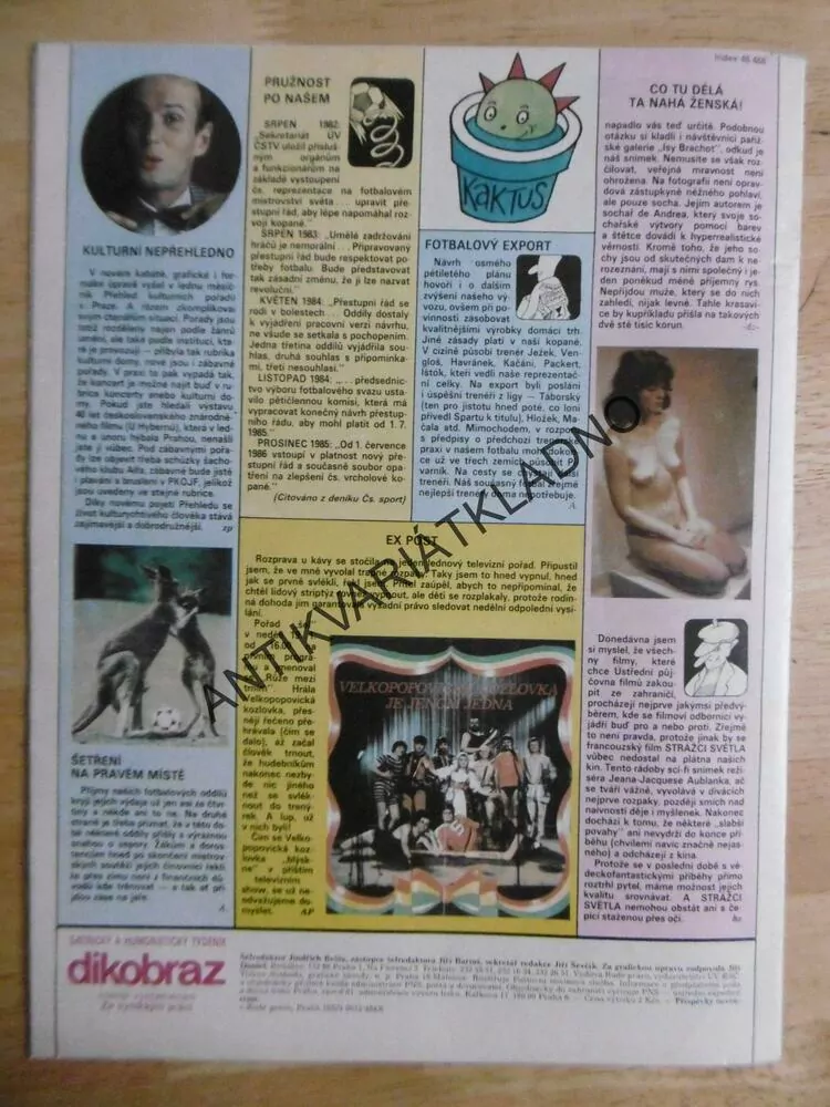 DIKOBRAZ 9/1986