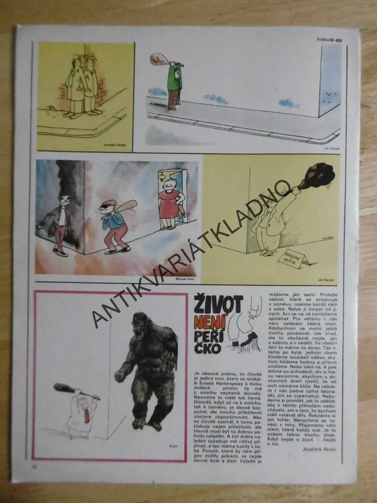 DIKOBRAZ 23/1988