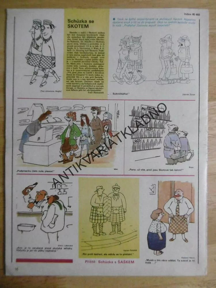 DIKOBRAZ 17/1989