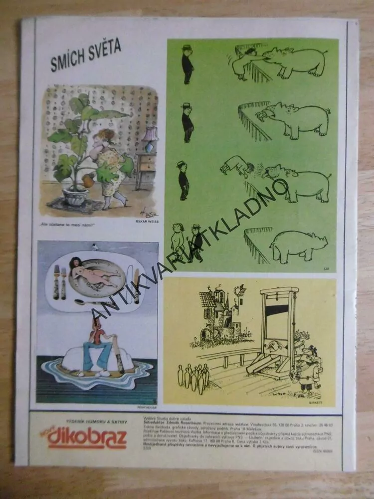 DIKOBRAZ 8/1990