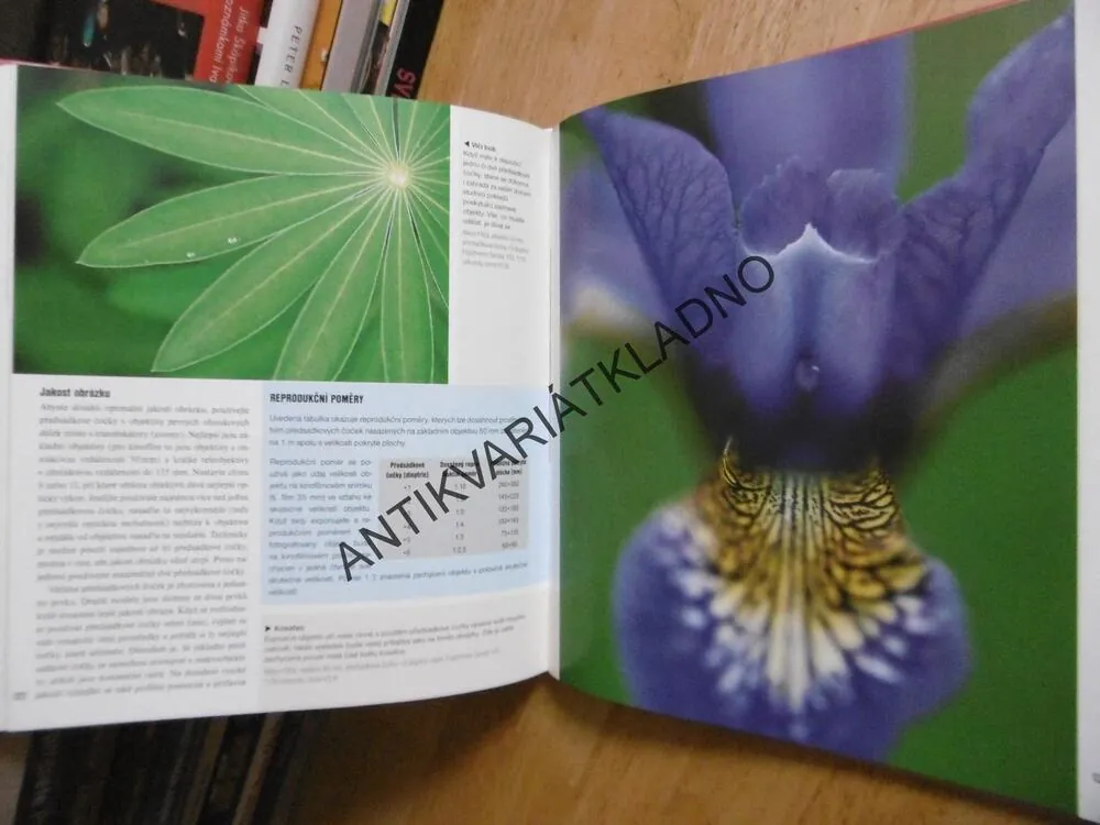 NAUČTE SE FOTOGRAFOVAT DOBŘE S FILTRY, LEE FROST, **an