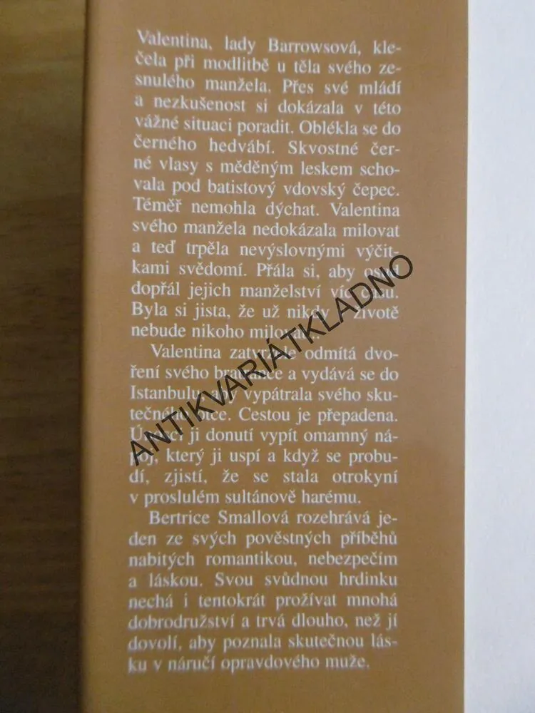 NALEZENÍ ZTRACENÉ LÁSKY, BERTRICE SMALLOVÁ, **an