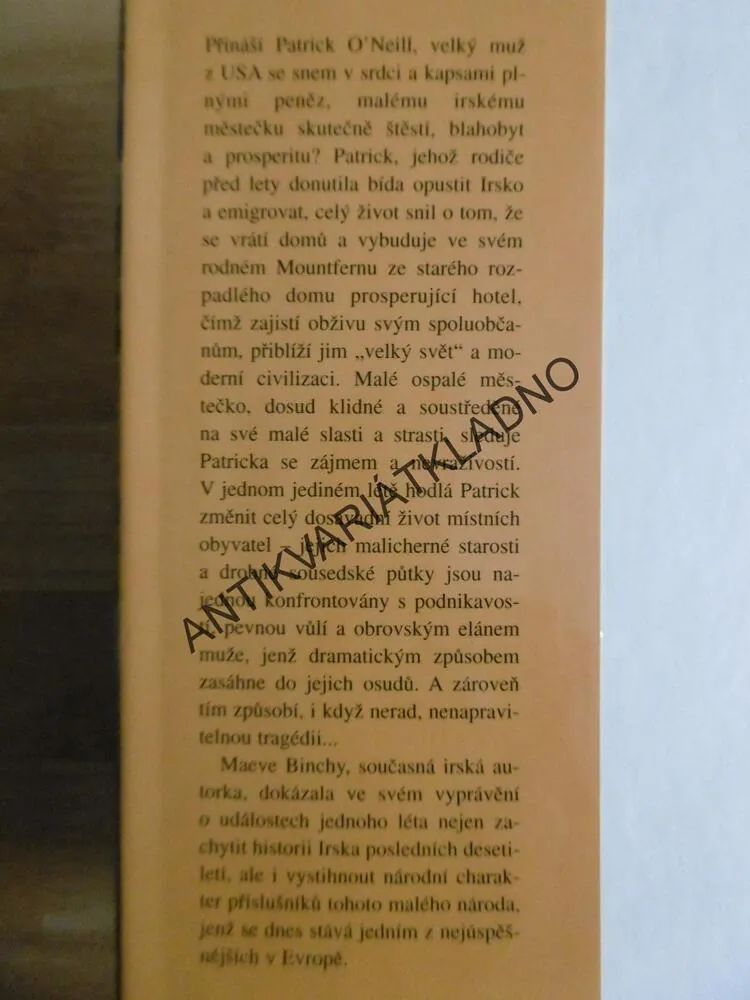 NEZAPOMENUTELNÉ LÉTO, MAEVE BINCHY, **an