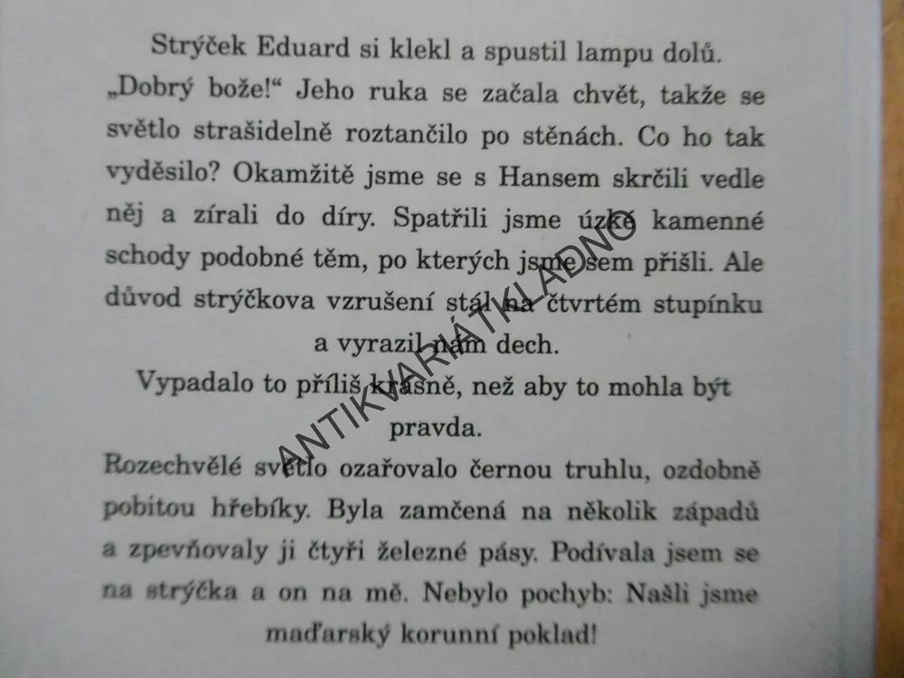 HRAD MÁM, HLEDÁM PRINCE, SUSANNA KUBELKA, **an