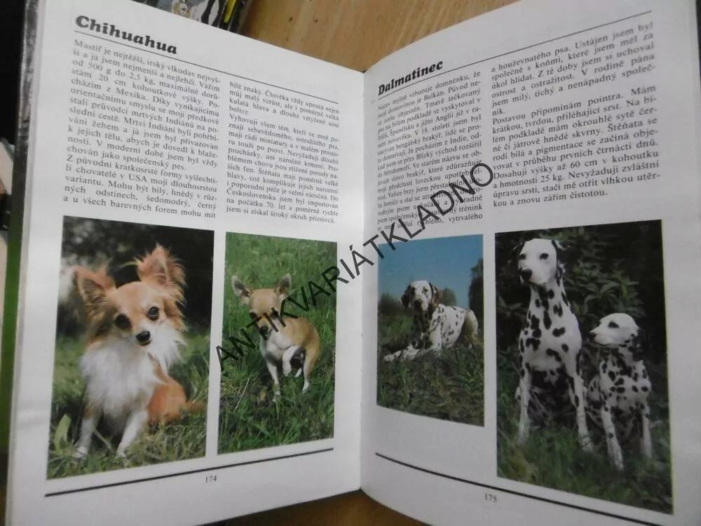 JÁ PES, E.TYLÍNEK, **an