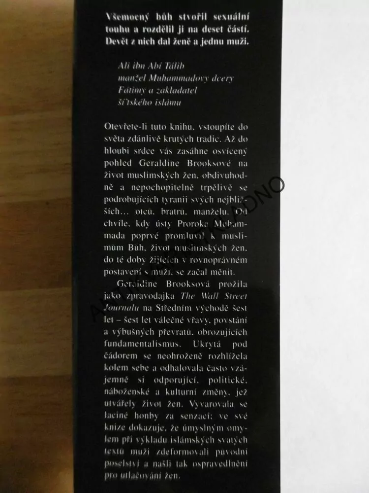 DEVĚT ČÁSTÍ TOUHY, GERALDINE BROOKS, **an